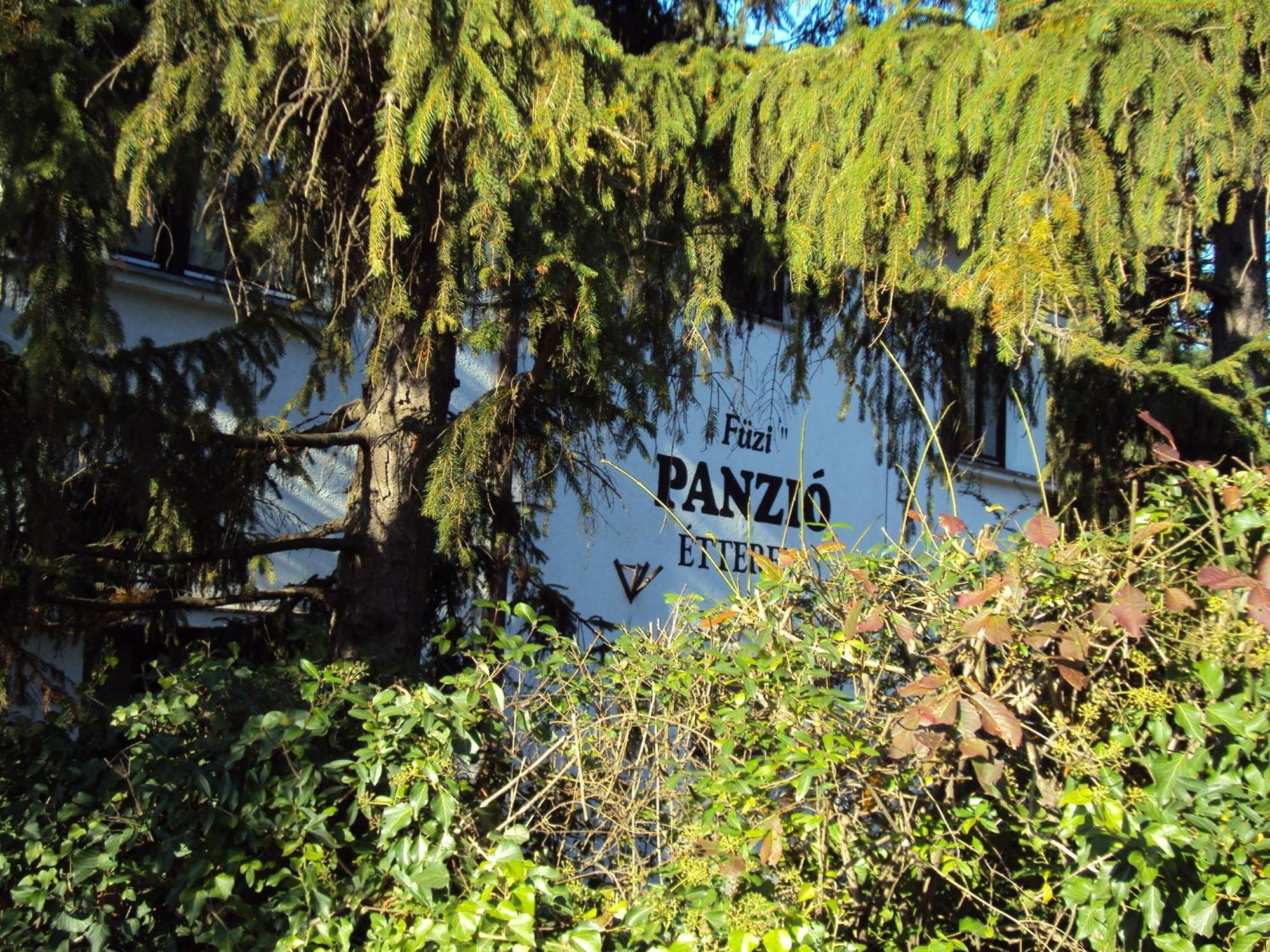 Fuezi Panzio Bed and Breakfast Sopron Buitenkant foto